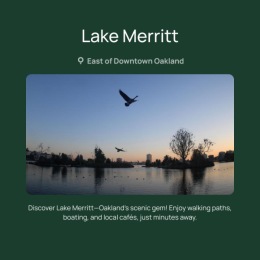 Lake Merritt with birds flying over
